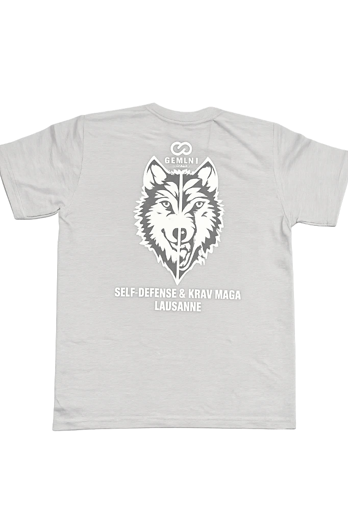 T-shirt Gris Gemini Dos.webp